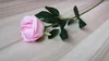 silk rose flower wedding decorative and home kitchen room decoration cheap good quality free shipping SF0212