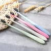 Envriomental Friendly Wheat Stalk Toothbrush Bamboo Charcoal Teethbrush Soft Portable Toothbrush for Adult and Kids Travel Use PVC Tube Pack