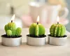 Cactus Geurkaars Groene Vlees Plant Home Interieur Scent Candles Romantisch Groen Kaars Theelicht Kaarsen Mini Mooie Gift Wen5477