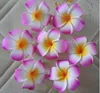 Nouveau Design 2 quot 5cm Hawaii Pe Plumeria fleur tropicale frangipanier mousse fleur pour chapeaux 100 pièces Lot1471906