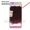 Tress Crochet Hair Crochet Curly 3pcspack Kinky Curly 2017 Tress Ombre Bug Jerry Curly 10inch Synthetic Braiding H1153807