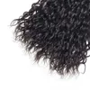 Brasilianskt vattenvåg Mänskligt hår 3 buntar obearbetade betyg 8a brasilianska våta och vågiga jungfruliga hårvävtillägg