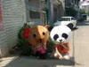 2018 Hot Sale Accessory Panda Teddy Bear Heads Kostym Mascot Cartoon för älskare