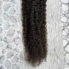 10 "-26" Virgen brasileña Remy Cabello humano 100S Kinky Curly Micro Loop Extensiones de cabello Marrón 100g Kinky Curly Micro Link Extensiones de cabello humano