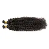 100st Brasilianska Kinky Curly Keratin Tips Människans hårförlängning 1g / s Curly Keratin U TIPS Hair Extensions 100g Remy Fusion Hair Extensions