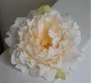 15 cm Seide Pfingstrose Blütenköpfe Hochzeit Party Dekoration Künstliche Simulation Seide Pfingstrose Kamelie Rose Blume Hochzeit GA230
