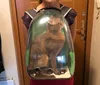 Chien chat sac à dos espace capsule