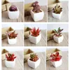 Multi Styles Artificial Plants With Vase Bonsai Tropical Cactus Fake Succulent Potted Office Home Decorative Flower Pots