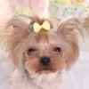 犬の髪の弓クリップペット猫子犬の手入れの縞模様のヘアアクセサリーデザイナー5色ミックスWX9-778