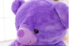 60cm New Stuffed Plush Purple Bear Cloth Doll Post Grape Beowtie 수면 베개 쿠션 동물 인형 어린이 선물 1021061