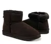 الشتاء الكلاسيكي Mini Boots Women Warm Snow Boot في الهواء الطلق Minis Shoes Chestnut Navy Brown Black Sand عالية الجودة 36-41 للإناث