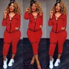 2018 Casual Dress Women 2 Sztuk Zestaw Outwear Sweatsuit Zipper Dres Pasted Dres Długim Rękawem Bluza + Spodnie Damskie Zestawy