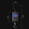 Bärbar 40kg x 10g Mini digital skala för fiske Bagage Travel Weighting Pocket Handy Steelyard Hängande Elektronisk Krok Skala