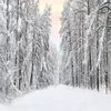 Dream 7x5ft220X150cm Snow Scenery Backdrop White Snow Forest Pography Background for Pographer Winter Holiday Baby Po Sh2411717