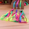 100st Funlife New Rainbow Color Dog Collar Leasches Justerbar nylon Dog Pet Leash Lead Harness