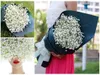 Simulation von Gypsophila Seidenbaby Atem Künstliche gefälschte Seidenblumen Pflanze für Zuhause Hochzeit Party Dekoration 50 teile/los Kostenloser Versand