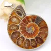 5 pièces/lot accessoires unisexe uniques impressionnant pierre naturelle fossiles d'ammonite 925 argent plaqué charme flottant médaillon pendentif colliers