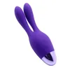 New Arrival Double Motors Vibrator Burst Orgasm Nipple Tease G Spot Clitoris Stimulation Rabbit Vibrator Sex Toys for Women S10181056328