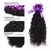 Long Hair Kinky Curly 3 Bundles with 4x4 Lace Closure Brazilian Peruvian Malaysian Human Hair Weaves Jerry Curl for Black Women 203176621