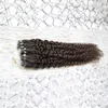 Mänskliga hårförlängningar Kinky Curly Micro Loop Ring Hårförlängningar 100g 1g / s 100s Remy Micro Bead Hair Extensions Darkest Brown