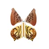 Magische vlinder 2018 nieuwe vliegende vlinder verandering met lege handen vrijheid vlinder magic rekwisieten magische trucs C3905