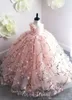 Prinzessin Rosa Blumenmädchenkleider Spitze 3D-Blumenapplikationen Ballkleid Kleines Mädchen Geburtstagsfeierkleider Sweep Zug Kinder Formelle Kleidung278b