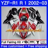 Bodys dla Yamaha YZF-1000 YZF R 1 YZF R1 2002 2003 Busodle Hot Sale Red Flame 237HM.45 YZF 1000 YZF-R1 02 YZF1000 Ramka YZFR1 02 03 Owalnia