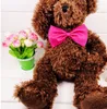 16 renk Pet kravat Köpek kravat yaka çiçeği aksesuarları dekorasyon Malzemeleri Saf renk ilmek kravat