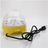 الحرة الشحن wholesles حار مبيعات 7-Egg البسيطة العملي حاضنة الدواجن الكهربائية (الولايات المتحدة القياسية) الأصفر