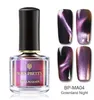 Chameleon 3D Cat Eye Nail Polish Magnetic Aurora Series 6ml Lack Magnet Nail Art Lacker Black Base Behov 7492675