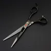 7 inch electroplating blackpurple lander scissors set with 4 pcs scissors combretail case and Hemostatic forceps5767796
