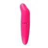 Mini Dolphin Vibrator Massage Stick Girl Masturbation G Spot Vibrator Orgasm Squirt Massager av vibrerande älskare Kvinnor Sexleksaker