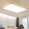 Rectangle LED Ceiling Light Apple Chandelier Lighting for Living Room Bedroom kitchen Children Foyer