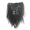 Remy Péruvien Cheveux Afro Crépus Bouclés Clip Dans Les Extensions De Cheveux Humains Pour Les Femmes Noires 7 Pcs / set 100g Couleur Nautral 10 Couleurs Disponibles