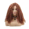 Syntetiska peruker Lång Afro Kinky Curly Hair Wig Mörkbrunt För Svart Kvinnor Afrikansk Frisyr Högtemperaturfiber