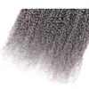 Dois Tons Cinza Afro Encaracolado Kinky Lace Encerramento Com Bundles Feixes de Tecer Cabelo Humano Malaio Virgem Kinky Curly Ombre Cabelo Com Fecho de Renda