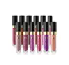 Nowa Chiny Marka Huamianli Matte Płynna Szminka 12Colors 5G Lip Gloss Powierzchnia Długotrwała Lipstick Wysokiej Jakości DHL Wysyłka