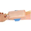 Kit de pratique d'injection, coussin d'entraînement pour la ponction veineuse de l'avant-bras de la peau, coussin d'injection IV, coussin de ponction veineuse de l'avant-bras
