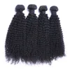 Brasileiro afro kinky encaracolado cabelo humano tece extensões 4 pacotes com fechamento livre meio 3 parte trama dupla tingível alvejante 100 g / pc DHL