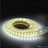 100 متر 110 فولت 220 فولت أدى شرائط smd 2835 led حبل ضوء ip67 فليكس led قطاع أضواء إضاءة خارجية سلسلة ديسكو بار حانة عيد الميلاد حزب