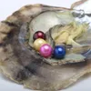 Perla Natural DIY 2020, perla redonda de 6-7MM en ostras, concha de ostra Akoya con perlas coloridas, joyería envasada al vacío, envío gratis