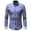 Jesień Zima Nowy Mężczyzna Klasyczny Kołnierz Paski Casual Camisa Shirts Slim Long Rękaw Mężczyźni Designer Mężczyzna Moda Koszula 2Colour