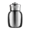 Hot Koop 280ml Mini Leuke Koffie Vacuümflessen Thermos Roestvrijstalen Reisdrank Waterfles Thermoses Cups en Mokken