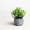 WCIC Mini Cemento Decorativo Maceta Maceta Forma de piña Concreto Escritorio Vivero Maceta Cactus Suculentas Semillas Bonsai Florero