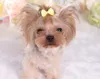 Dog Hair Bows Clip Pet Cat Puppy Grooming Striped Bowls For Hair Accessories Designer 5 Colors MiX WX9-778