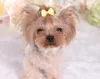 Dog Hair Bows Clip Pet Cat Puppy Grooming Striped Bowls For Hair Accessories Designer 5 Colors MiX WX97786779811