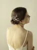 2018 nuovi accessori per capelli da sposa pettinatura per capelli da sposa con cristalli di copricapo di gioielli per capelli BWHP8369030603