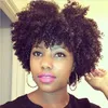 Kort kinky Curly Lace Front Human Hair Wigs för Black Women Afro Wig 10Inch 130% density African American