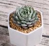 256pcs ceramic bonsai pots wholesale mini white porcelain flowerpots suppliers for seeding succulent indoor home Nursery planters
