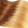 Indian Raw Virgin Hair Straight 1B427 Hår exenisons 3 buntar indiska raka väver naturlig färg från Leila5037688